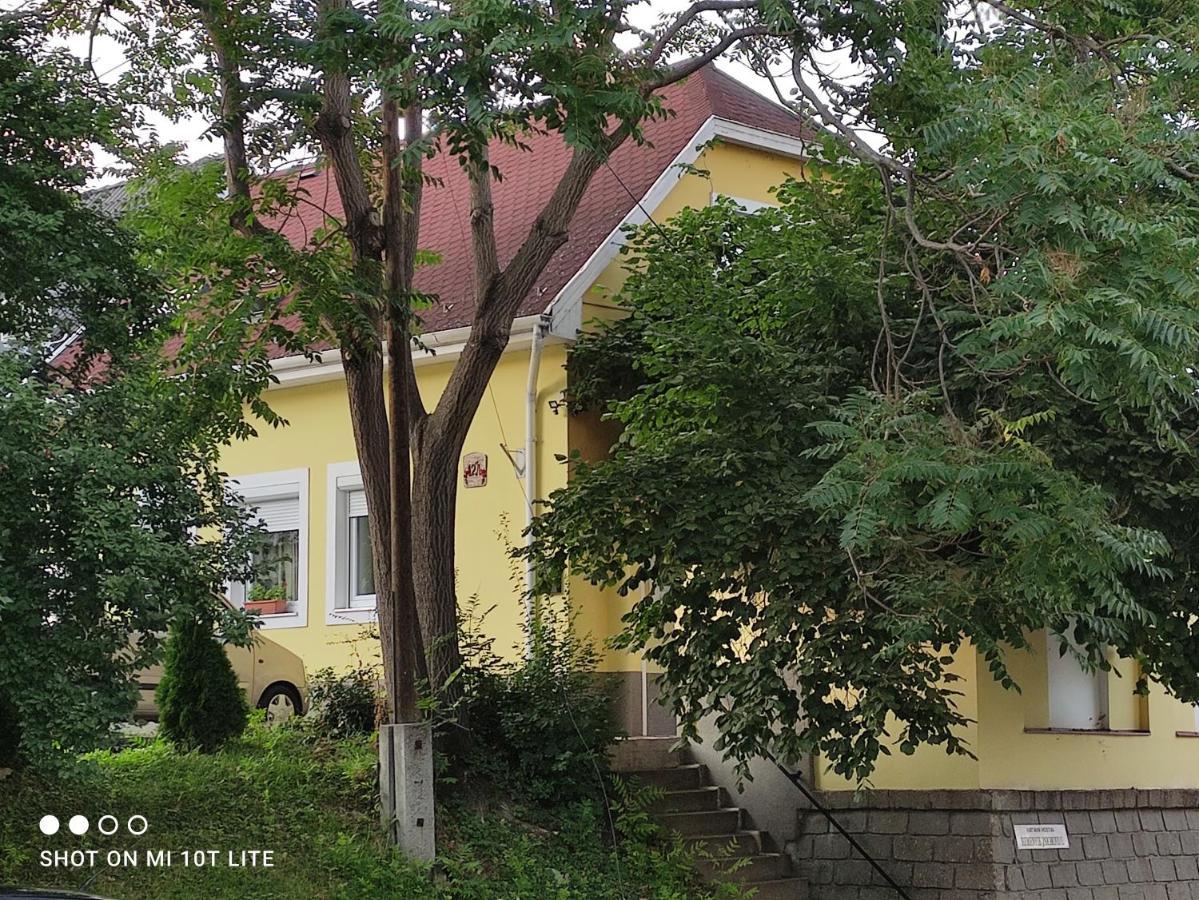 Szitakoeto Apartman Eger Exterior foto